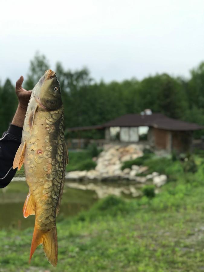 Диброва Dibrova  Kültér fotó