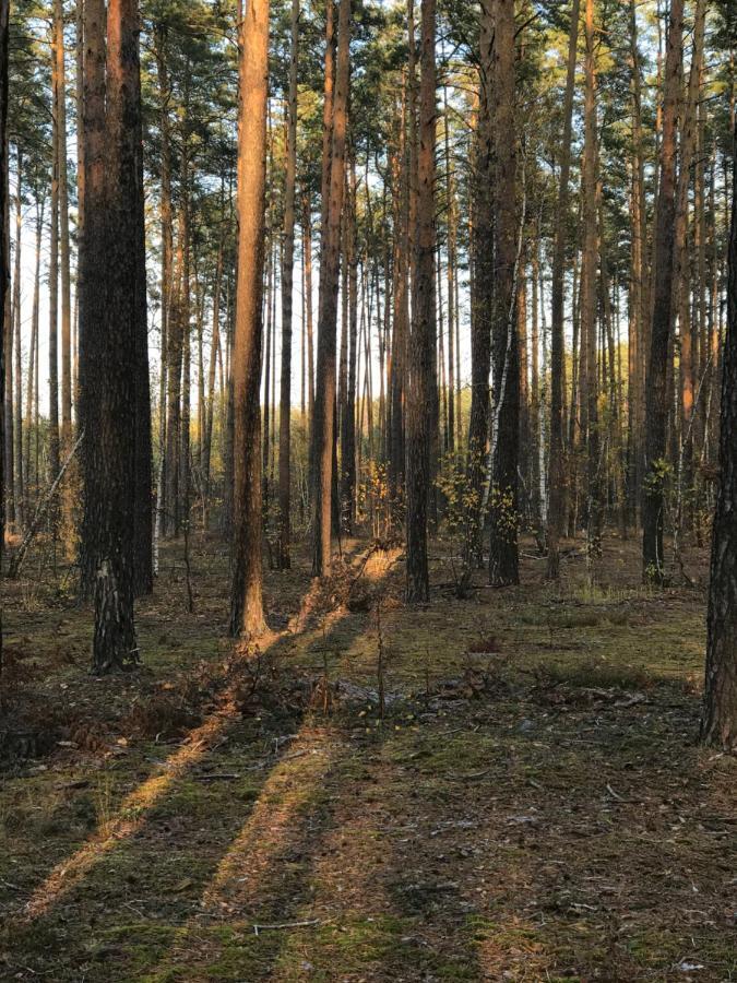 Диброва Dibrova  Kültér fotó