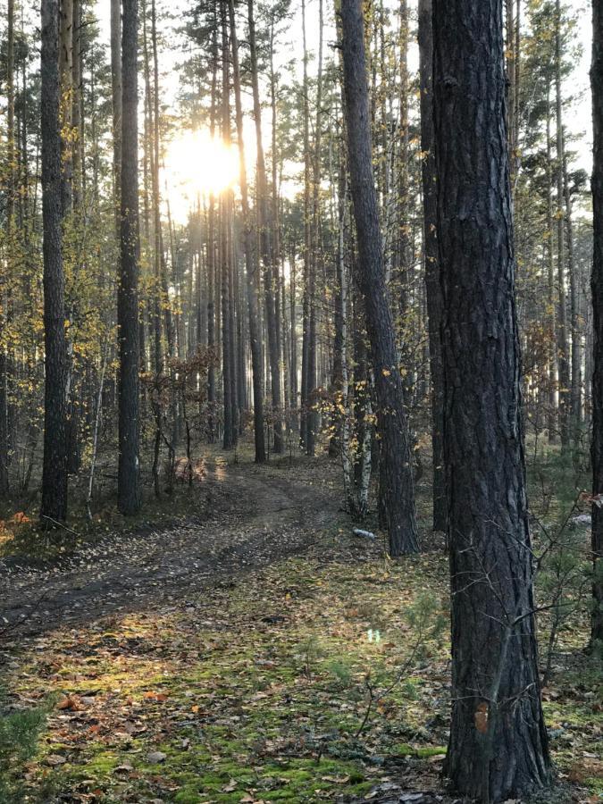 Диброва Dibrova  Kültér fotó